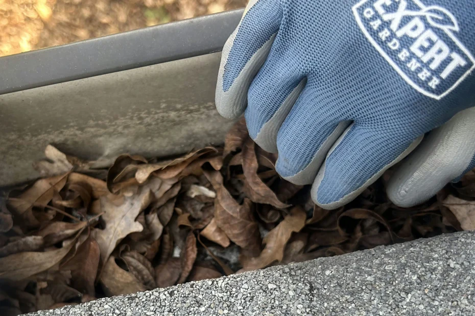 Gutter Cleaning Cloverleaf, TX